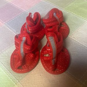 NWT dog sandals